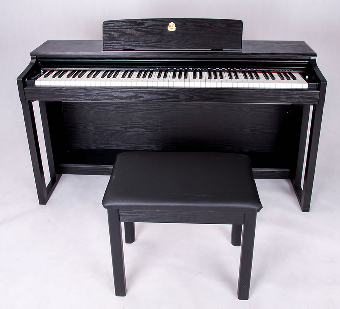 Taishan Electric Piano