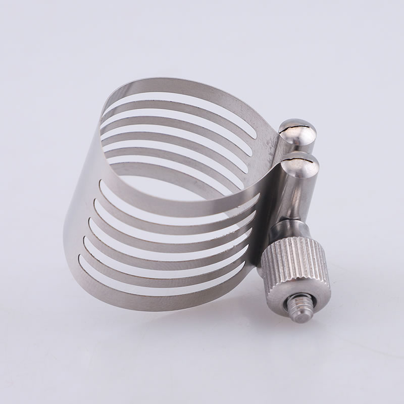 Sachs stainless steel clip